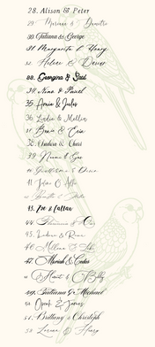 Our Fonts