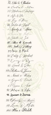 Our Fonts