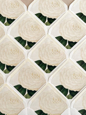 Envelope Liners • White Camellia