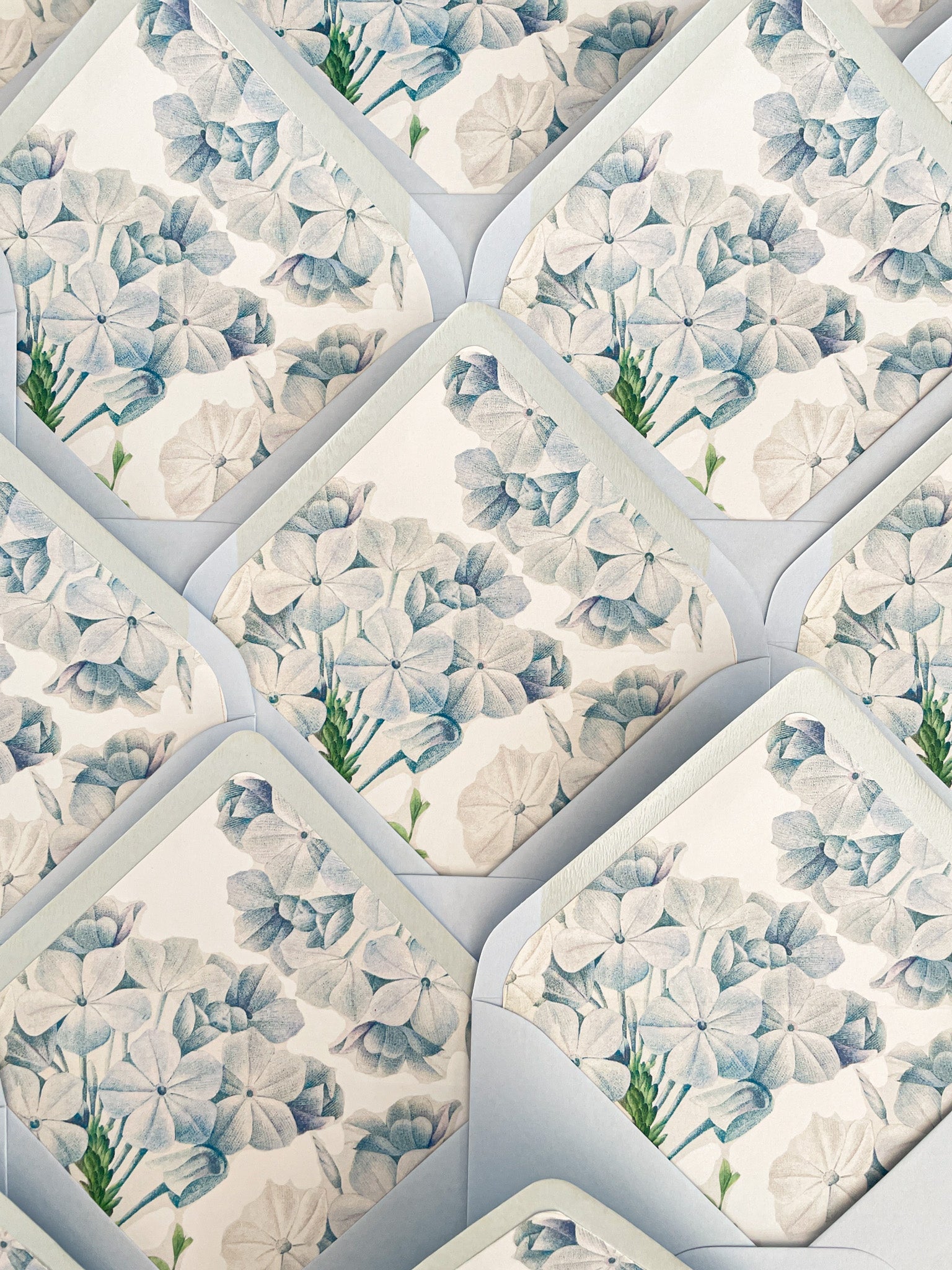 Envelope Liners • French Hydrangea