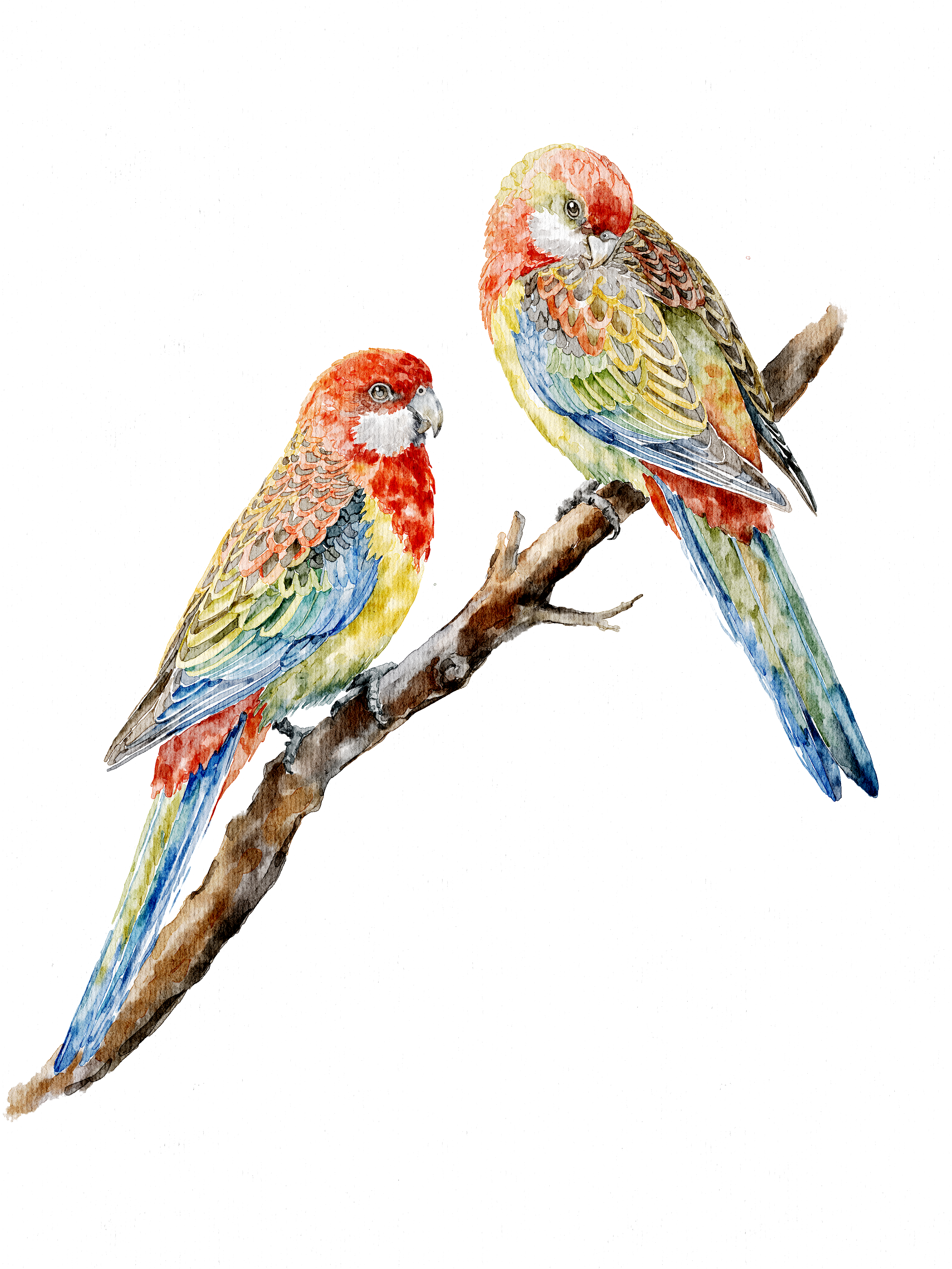 KJ_-_Watercolor_Studio__5_1_31.png