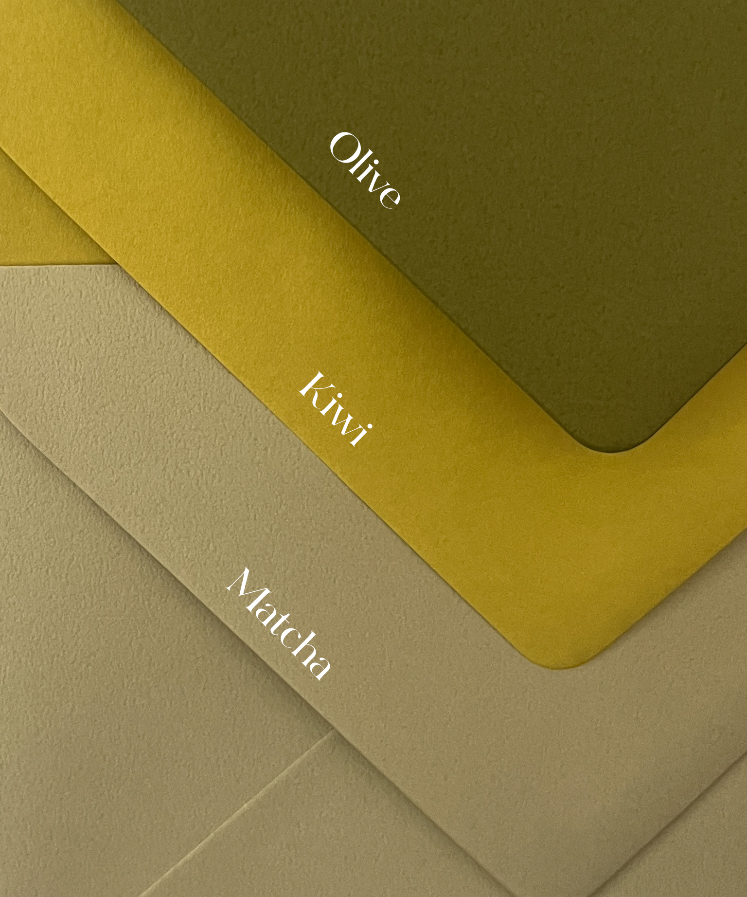 Olive.png