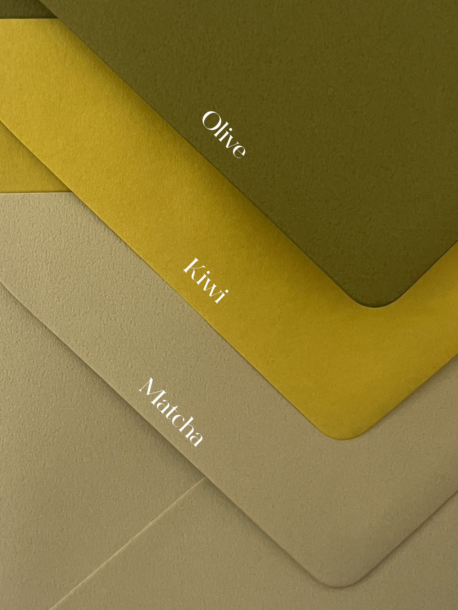 Olive.png