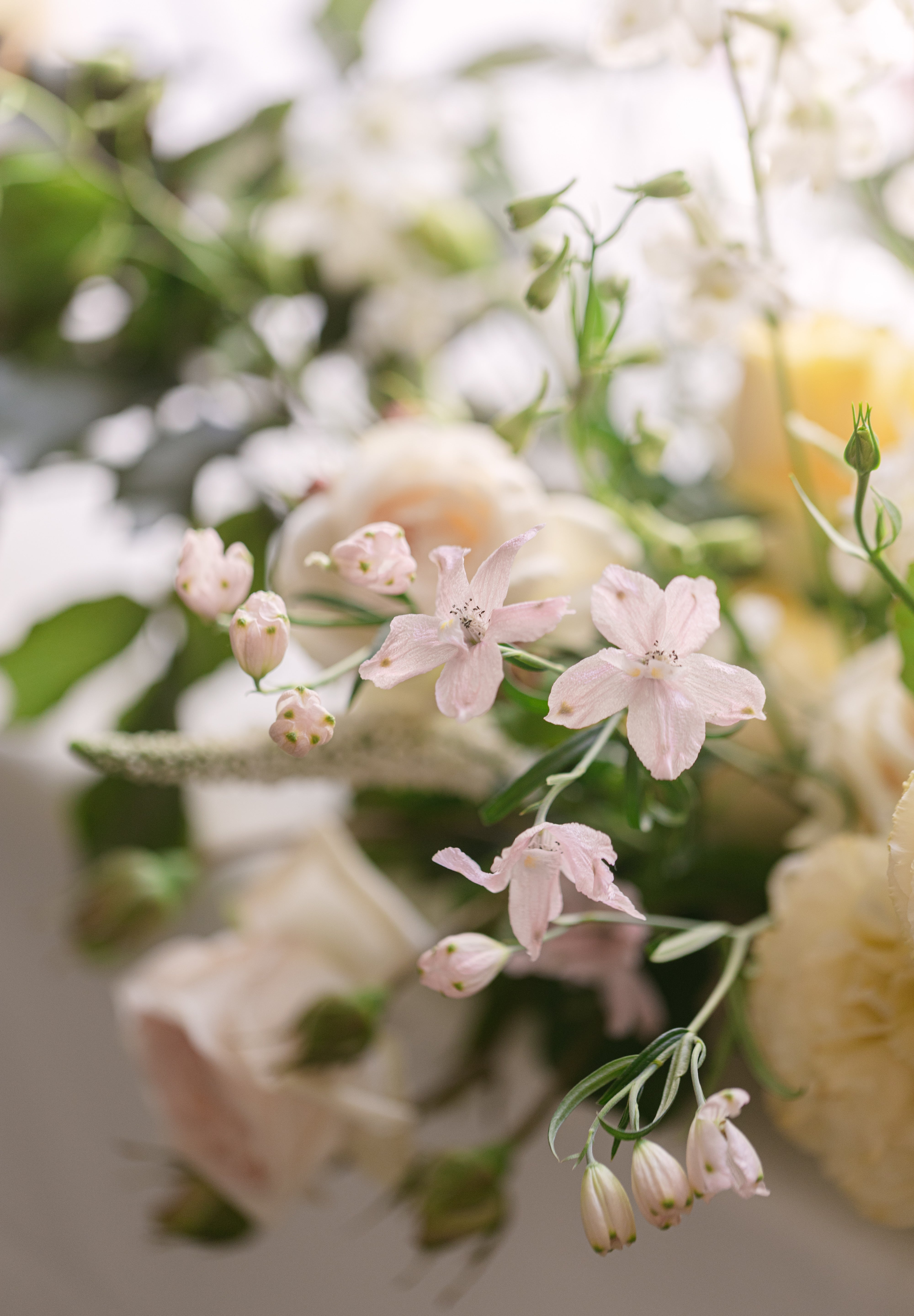SJWed-LenaLimPhotography-195_1.jpg
